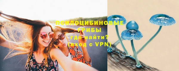 ALPHA PVP Волосово