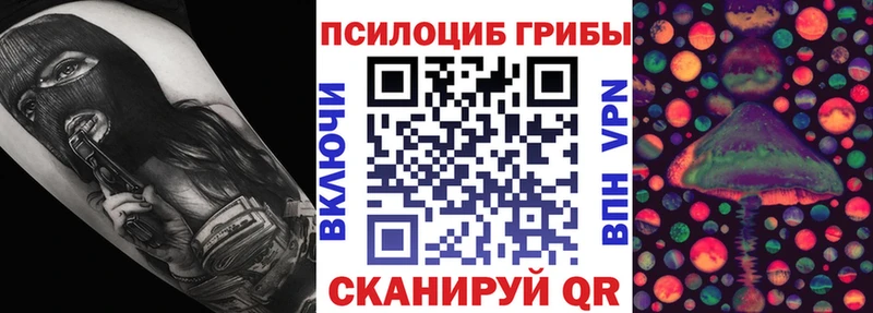 даркнет формула  Яхрома  Псилоцибиновые грибы мицелий 